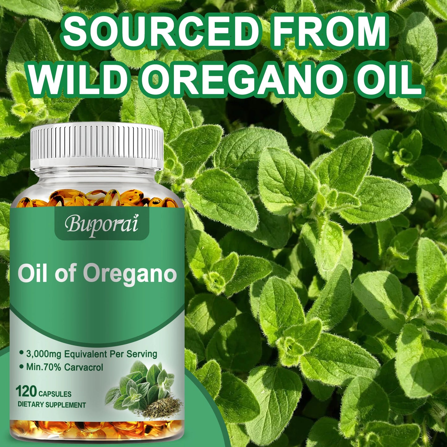 Oil of Oregano Capsules.