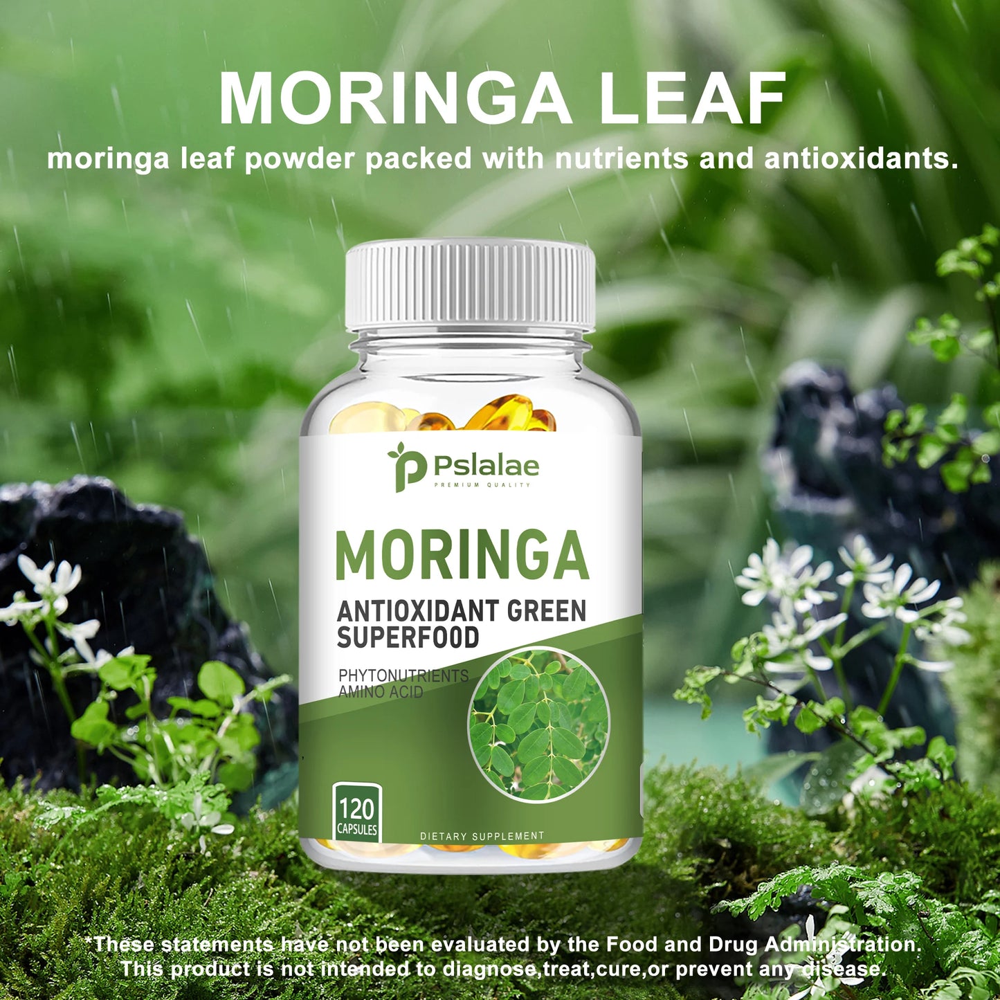 Moringa Capsules - for Immune System.