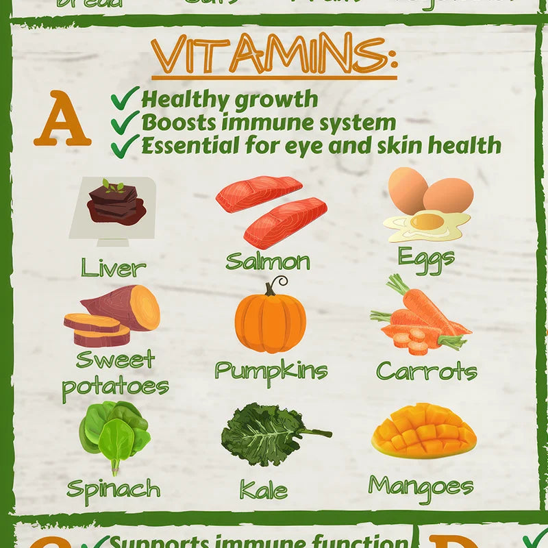 My Healthy Food Chart Poster Informative