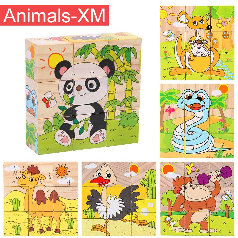 Wooden Blocks Six Sides, Three-Dimensional.