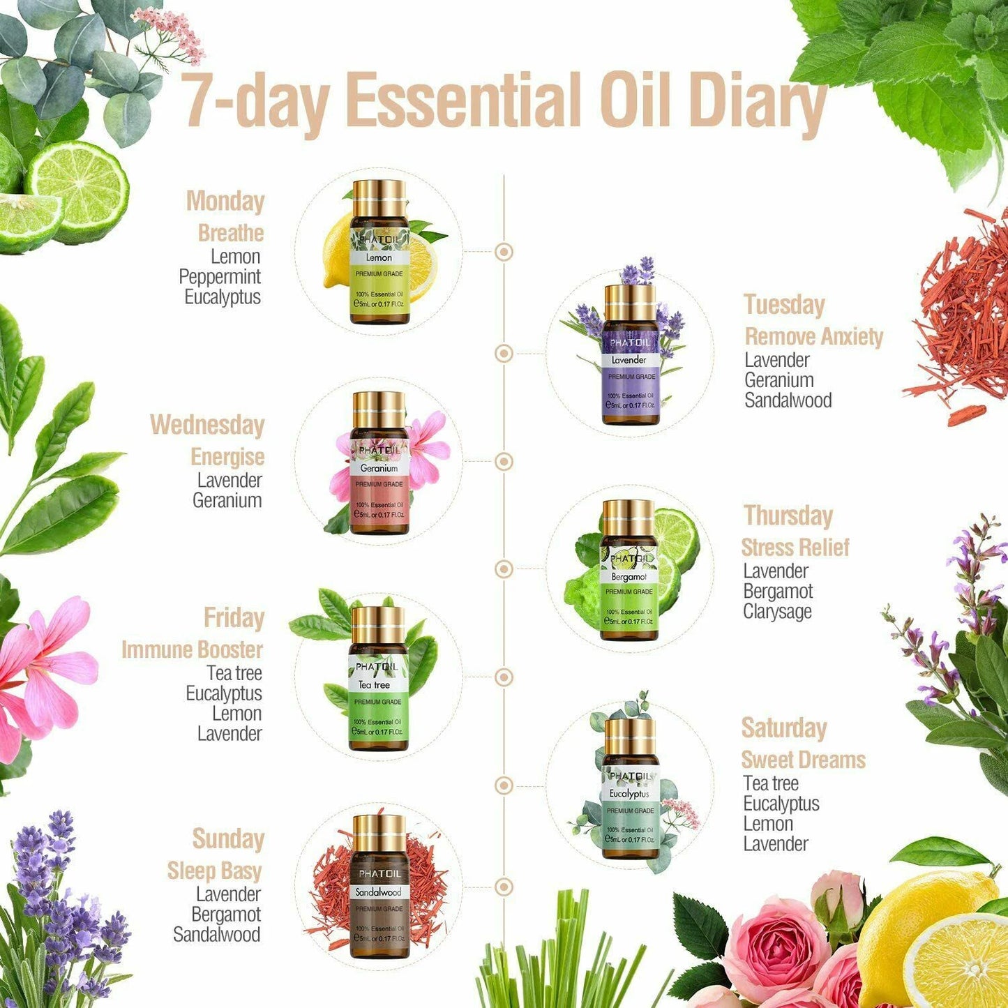 12pcs Gift Box Pure Essential Oils.