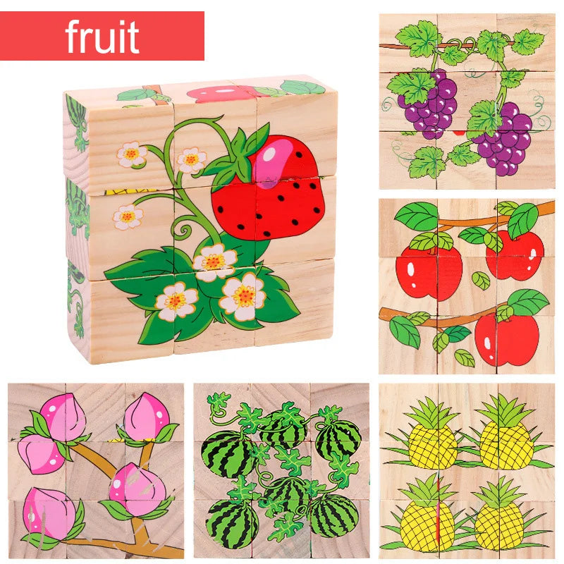 Wooden Blocks Six Sides, Three-Dimensional.