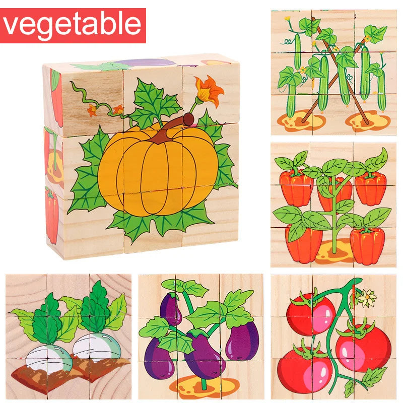 Wooden Blocks Six Sides, Three-Dimensional.