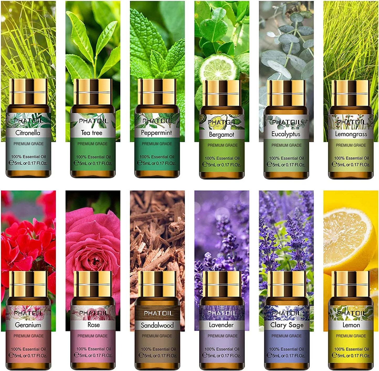 12pcs Gift Box Pure Essential Oils.